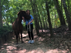 Fundraising Page Image